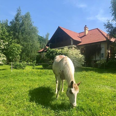 Modryna Ranczo Bed & Breakfast Крашичен Екстериор снимка