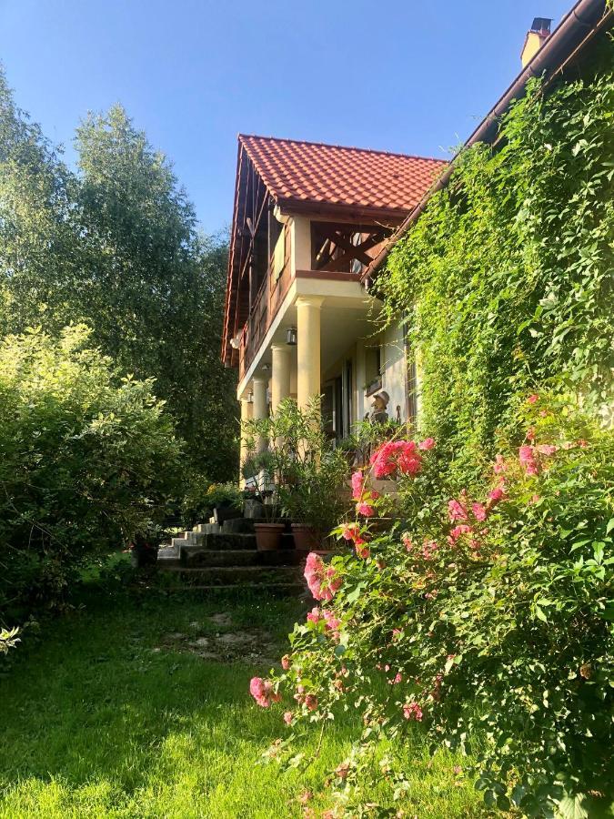 Modryna Ranczo Bed & Breakfast Крашичен Екстериор снимка