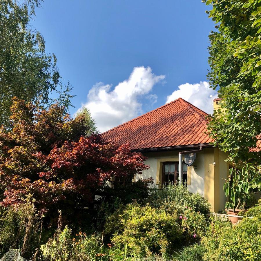 Modryna Ranczo Bed & Breakfast Крашичен Екстериор снимка