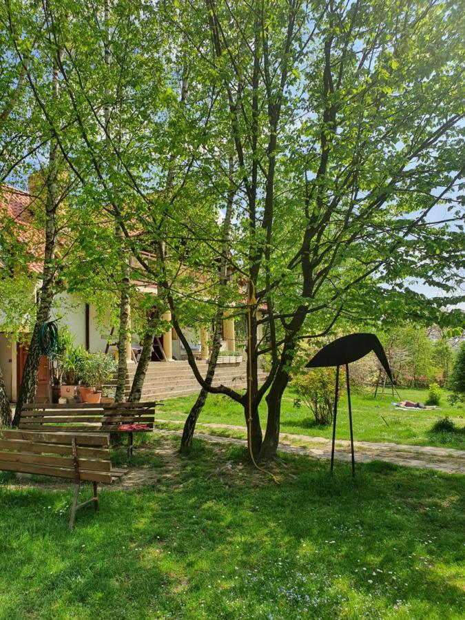 Modryna Ranczo Bed & Breakfast Крашичен Екстериор снимка