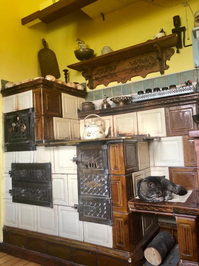 Modryna Ranczo Bed & Breakfast Крашичен Екстериор снимка